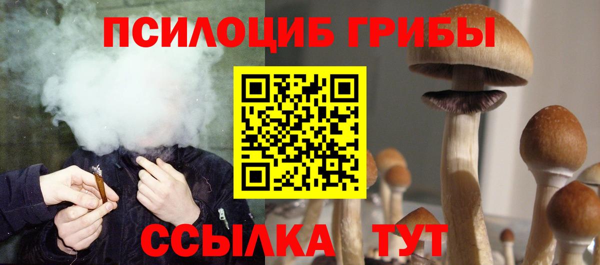 Галлюциногенные грибы мицелий Лесозаводск